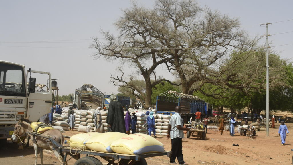 Un nouvel afflux de déplacés dans l’ouest du Niger, la commune de Téra saturée