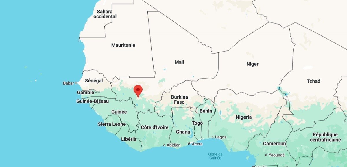 Manifestation anti-dissolution des partis politiques à Bamako
