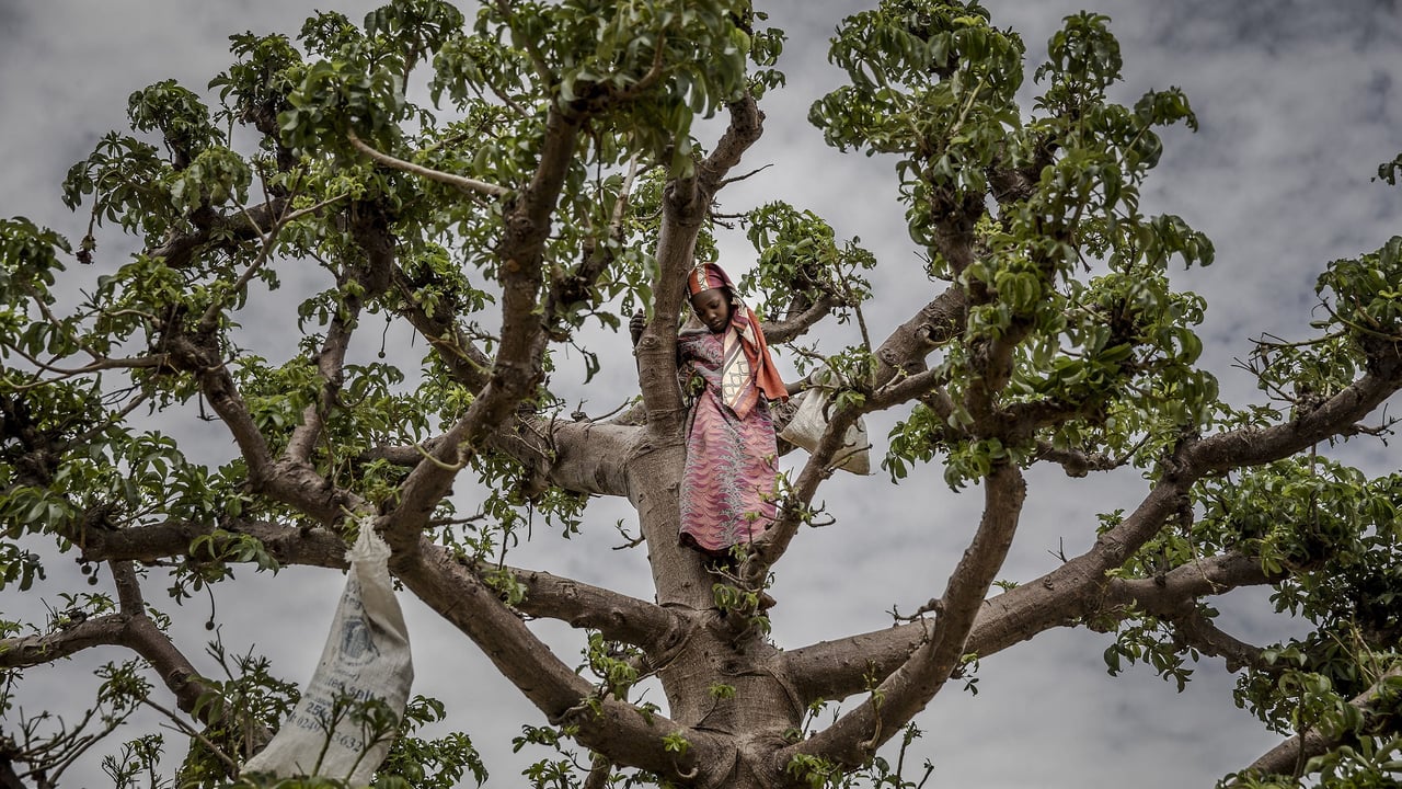Crise économique au Niger : une génération en proie à la faim