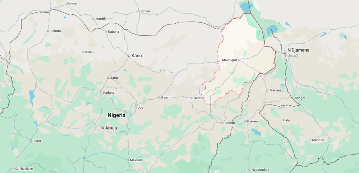 Plus de 400 femmes et enfants enlevés par Boko Haram libérés dans l'État de Borno