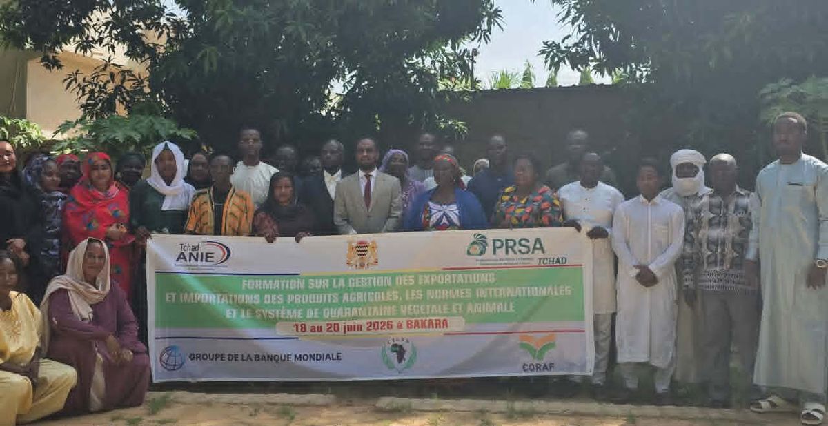 Tchad : formation exportations agricoles